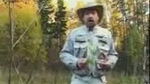 Следопыт с Глебом Данильцевым (травмы, укусы и как с ними бо