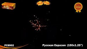 РС8902: Русская Евразия