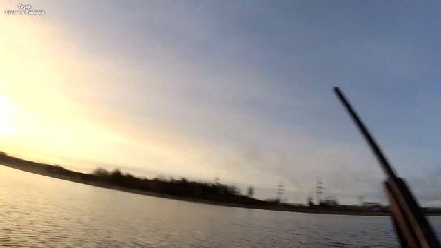 Открытие охоты на утку, осень 2021.Охота на утку из скрадка с чучелами, а также с лодки.Охота в Ком