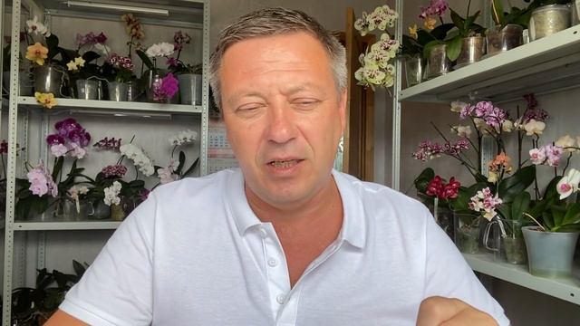 ОРХИДЕЯ СГНИЛА до ПНЯ не выкидывайте - Я В ШОКЕ что МОЖЕТ ПОЛУЧИТЬСЯ из остатков орхидеи