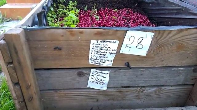 Анализ неудачных прививок (analysis of unsuccessful vaccinations at a vine nursery) смотреть онлайн