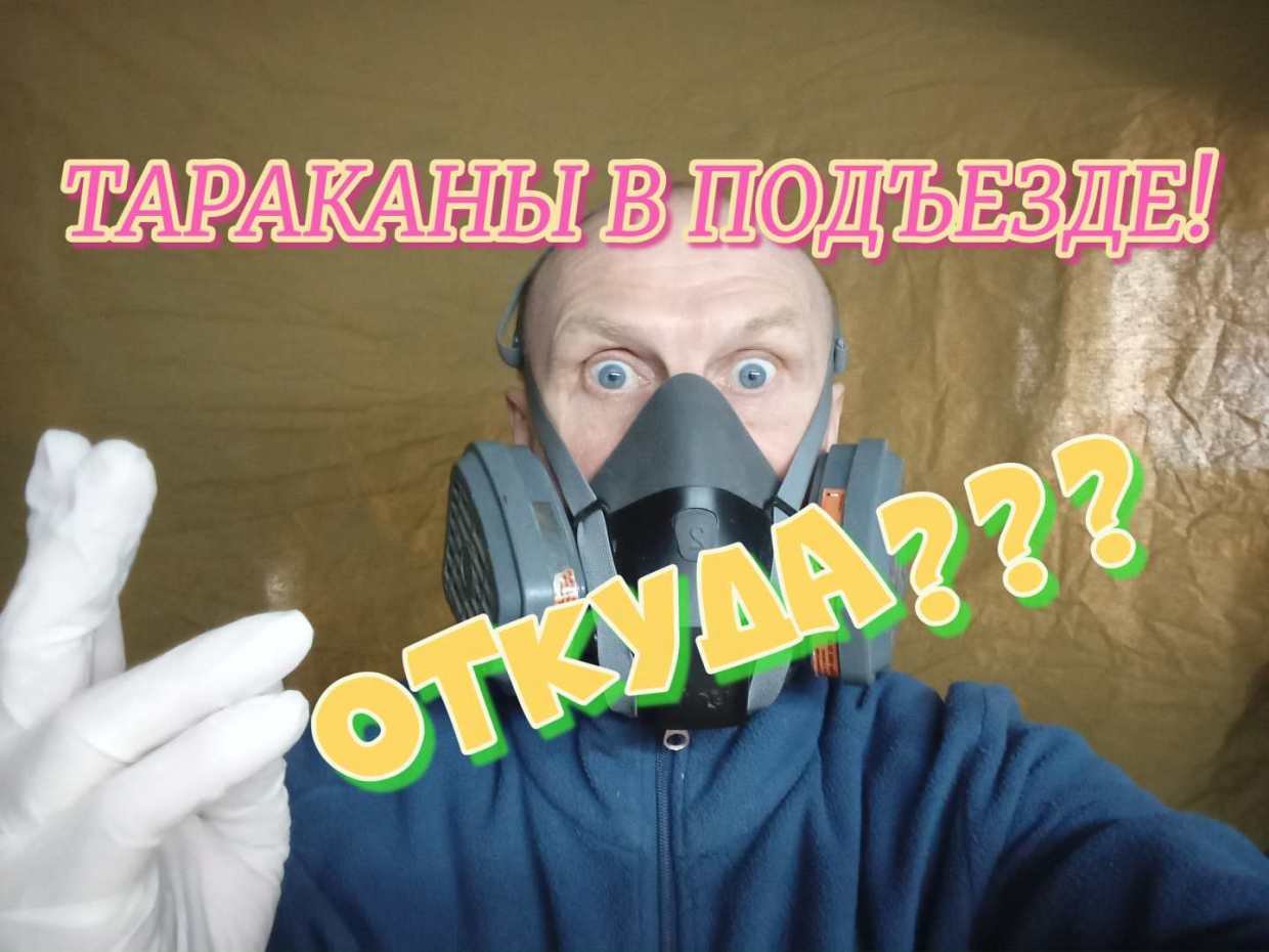 Тараканы в подъезде! Откуда?
