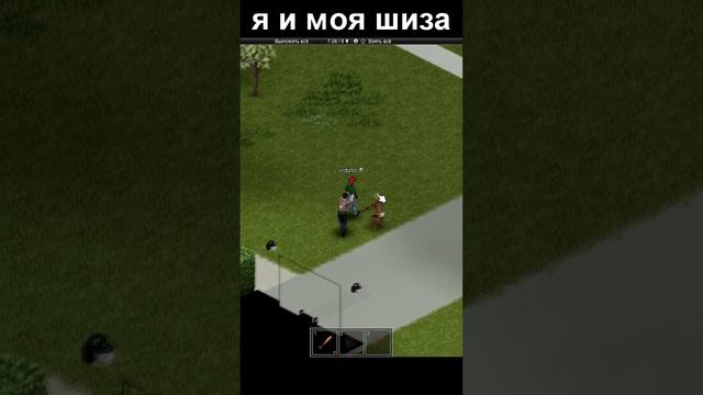 безумие project zomboid