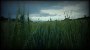 ПОЧЕМУ ТОТ, КОГО БРОСИЛИ, ВСЕГДА БУДЕТ СИЛЬНЕЕ ТОГО, КТО БРОСАЕТ? ПАРАДОКС РАССТАВАНИЯ!