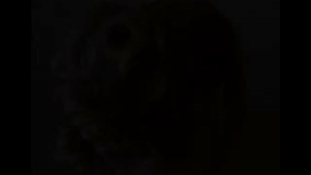 Свадебные и вечерние прически,макияж от Чумаковой Ларисы www.wellar.ru смотреть онлайн