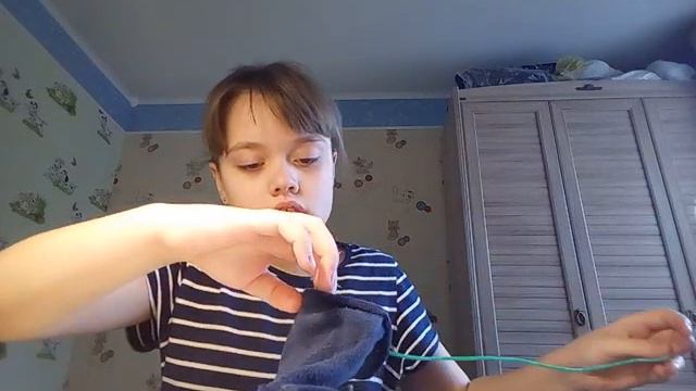 Одежда для животных