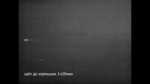 Охота с тепловизором iRay. Кабан, Косуля и Енот? Hunting with thermal imager. Boar, Roe and Raccoon
