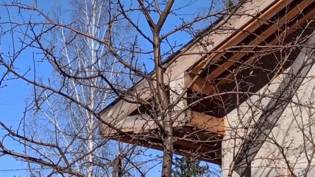 Дом из соломы хотят все! Особенно птички смотреть онлайн