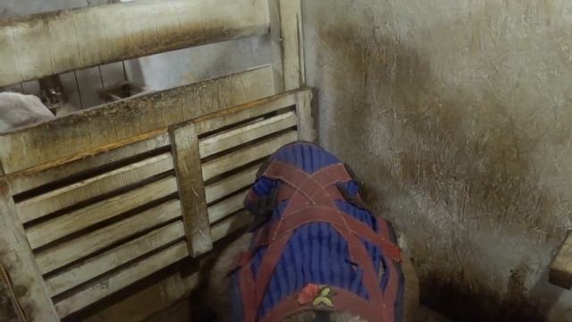 Запускаем коз. Разный подход. С чего начинаю. смотреть онлайн