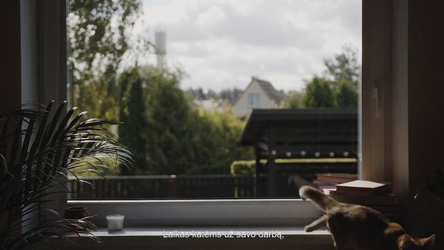 Felix Purina смотреть онлайн