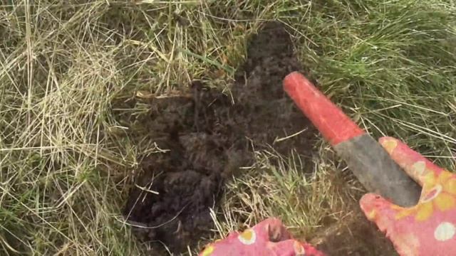 Коп 2020. Она меня очень порадовала! смотреть онлайн