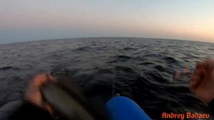 ЛОВИМ СУДАКА НА ЛАДОГЕ.