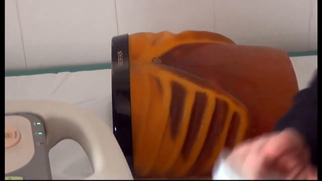 Практическое занятие на фантоме Желчный пузырь и холедох доступы смотреть онлайн