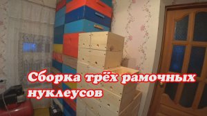 СБОРКА ТРЁХ РАМОЧНЫХ НУКЛЕУСОВ, ПРИШЛА БЕЗДОМНАЯ СОБАКА.