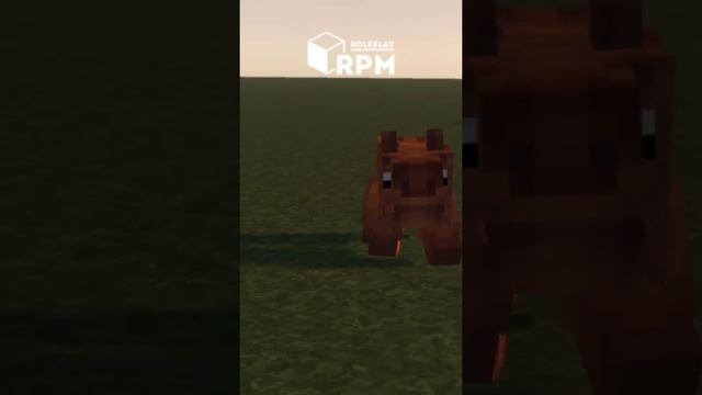 Скоро на RPM ROLEPLAY. #minecraft #roleplay #сервер #rpmroleplay смотреть онлайн