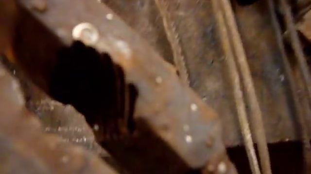 Штампы на тему растительность. смотреть онлайн