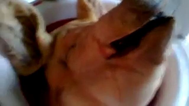 Мейсон ?? смотреть онлайн