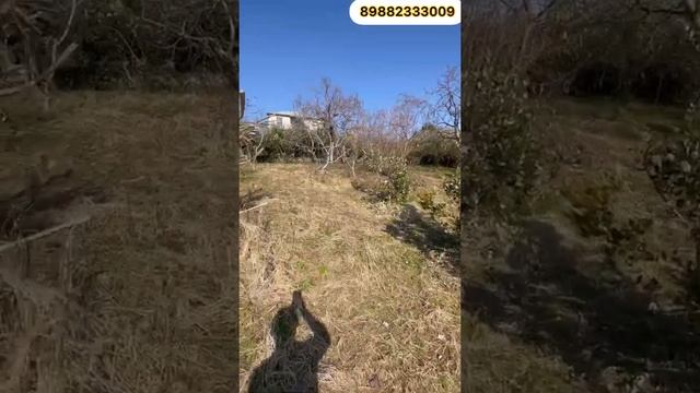 Такой цены нигде нет. ГОВОРЯТ ЛЮДИ |Агентство Недвижимости Дом в Сочи|16+|101 смотреть онлайн