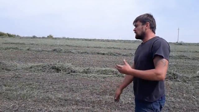 Грабли солнышко Обзор смотреть онлайн