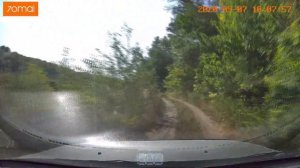 Заблудились в лесу((. река Северский Донец Давыдо Никольское