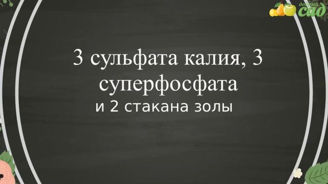 Посадка смородины - как правильно посадить смородину смотреть онлайн