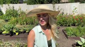 УРОЖАЙ АВГУСТА С 8 СОТОК/СНТ ОСТАЛОСЬ БЕЗ ВОДЫ