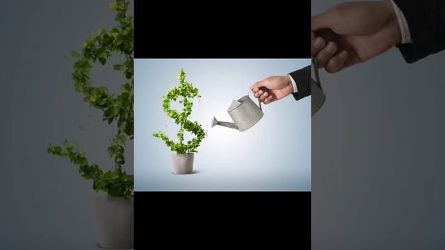 Сколько зарабатывают известные блогеры смотреть онлайн