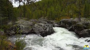 Чиндагатуй/ Алахинское озеро/ Чокпартас/ Республика Алтай