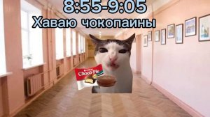 Кошачья жизнь (2 часть) Пов: пятница