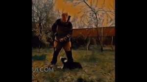 ДРЕССИРОВКА ЩЕНКА АМЕРИКАНСКОГО СТАФФОРДШИРСКОГО ТЕРЬЕРА. КОМАНДА "МЕСТО"