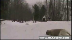 Готовимся к Сочинской олимпиаде