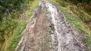 ОТДЫХ! ГРИБАЛКА! НА ВЕЗДЕХОДЕ!