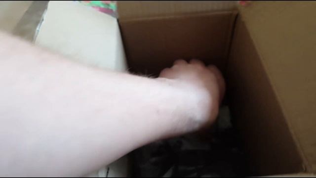 Обзор посылки с многолетниками: астильбы и астранции (сезон 2022) смотреть онлайн