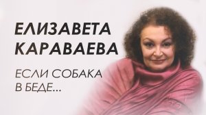 Породистые собаки - объект черного бизнеса, узники в клетках. Счастливые истории спасения.