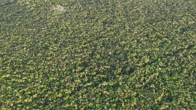 Storytellers | Live Act 2023 | By @EPHIMERATulum смотреть онлайн