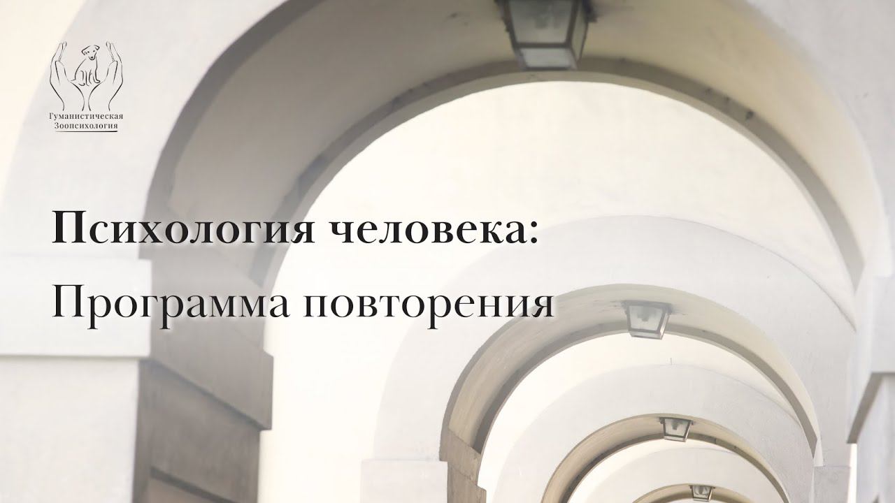 Программа Повторения в психологии смотреть онлайн