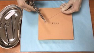 ПСА ДЕТСКАЯ ХИРУРГИЯ/ДЕТСКАЯ УРОЛОГИЯ-АНДРОЛОГИЯ. СТАНЦИЯ "ХИРУРГИЧЕСКИЙ ПРАКТИКУМ"