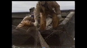 Переборка ставного невода. Анадырь. 1986 год