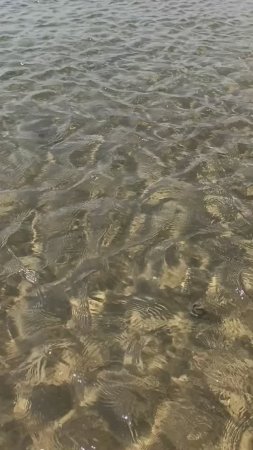 Море зовёт! Золотые пляжи Феодосии, Берегового, Приморского
