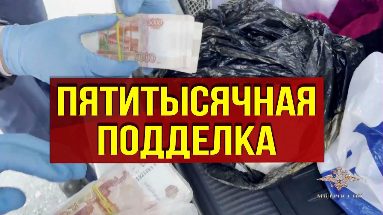 Задержаны фальшивомонетчики в Дагестане смотреть онлайн