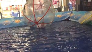 Вэй Парк Космик 2016