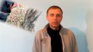 Ротвейлер с хвостом или без