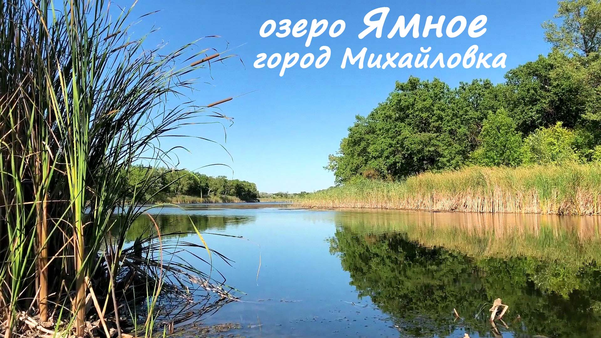 Озеро ямное. Озеро Ямное Михайловка. Озеро Ямное Михайловка Волгоградская область. Озеро Ольховое Михайловка. Озеро Ольховое Михайловка Волгоградская область.