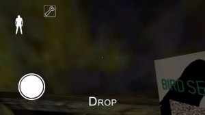 How to find and use the Bird Seed ( Granny New Update 1.7.0 )