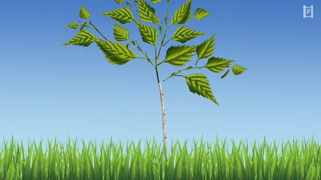 Марий азбуко. Куэ смотреть онлайн