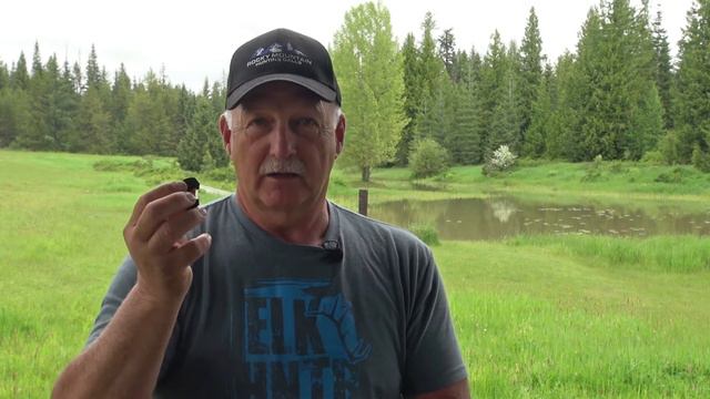 Black Magic Elk Diaphragm смотреть онлайн