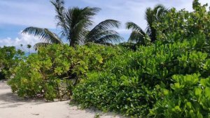 Мальдивы/ Идем на пляж /Walking Maldives Kudahuvadhoo island