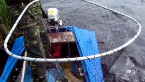 щука 7 кг озеро Аятское