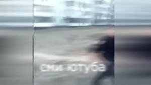Беспредел полиции. Женщина полицейский избивает мужчину