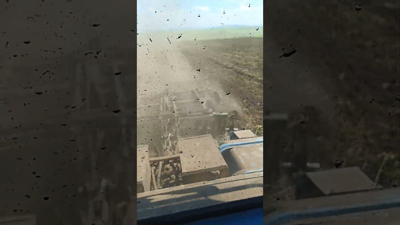 23 июля 2024 г. смотреть онлайн